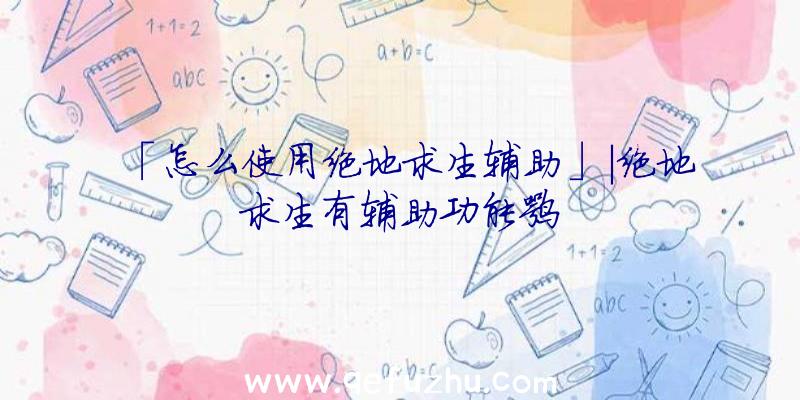 「怎么使用绝地求生辅助」|绝地求生有辅助功能嘛